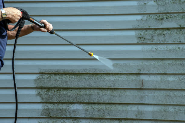 Best Building Exterior Washing  in Royalton, MN